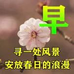 6月3日最漂亮早上好动态表情图片大全，早晨好动图美图大全