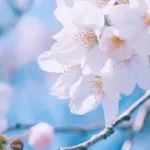 再无来世，这一生请珍惜！（深度好文）