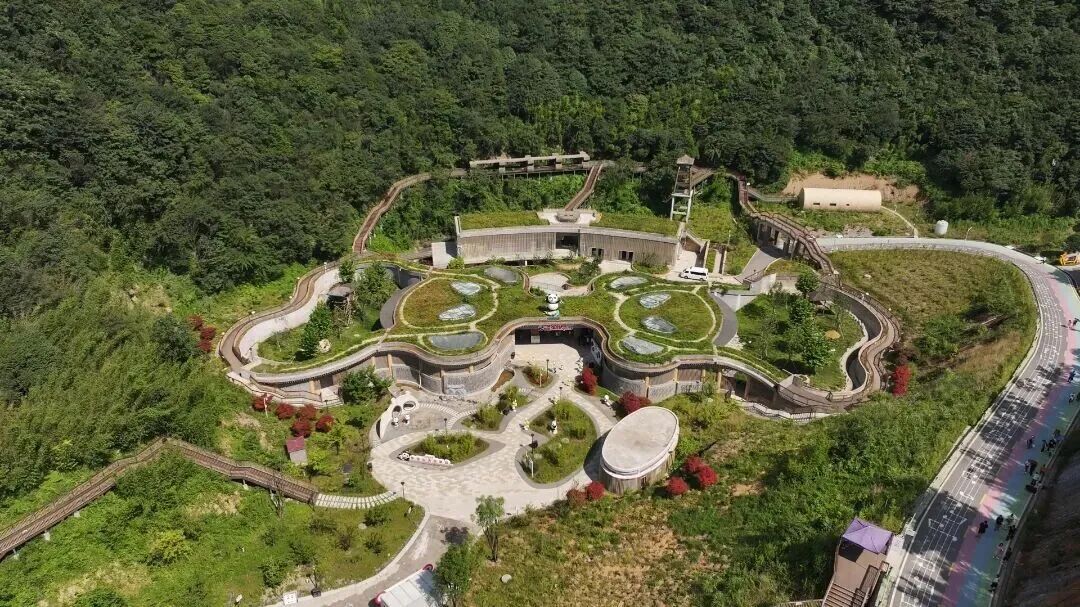 四川广安：广安首个春假！快跟着小编这样打卡——华蓥篇(图11)