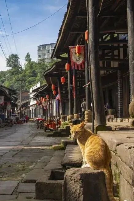 四川广安：跟着小编打卡广安春日山水人文(图8)