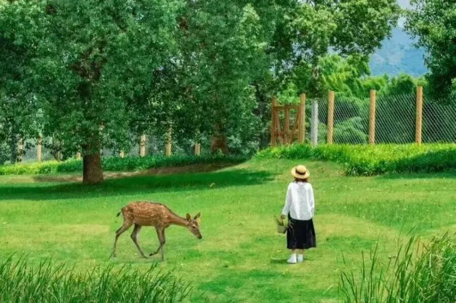 四川广安：跟着小编打卡广安春日山水人文(图10)