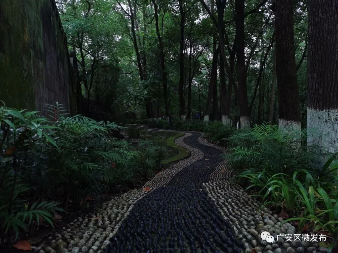 四川广安：跟着小编打卡广安春日山水人文(图2)