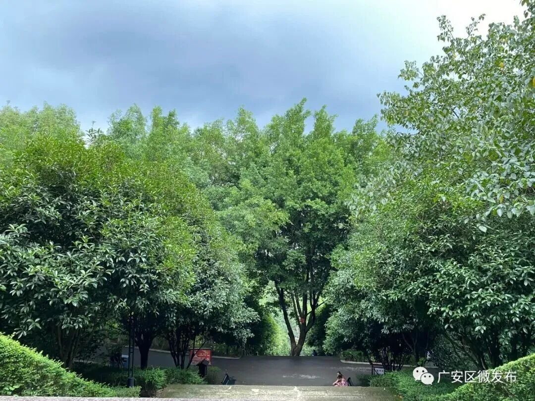 四川广安：跟着小编打卡广安春日山水人文(图3)