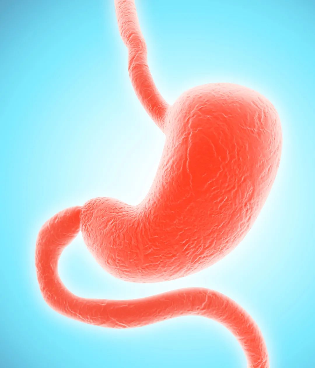 減肥手術多少錢_手術減肥_減肥手術是怎么做的