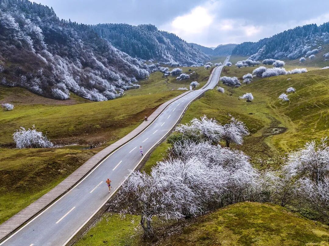 一组图告诉你重庆仙女山雾凇奇观到底有多美