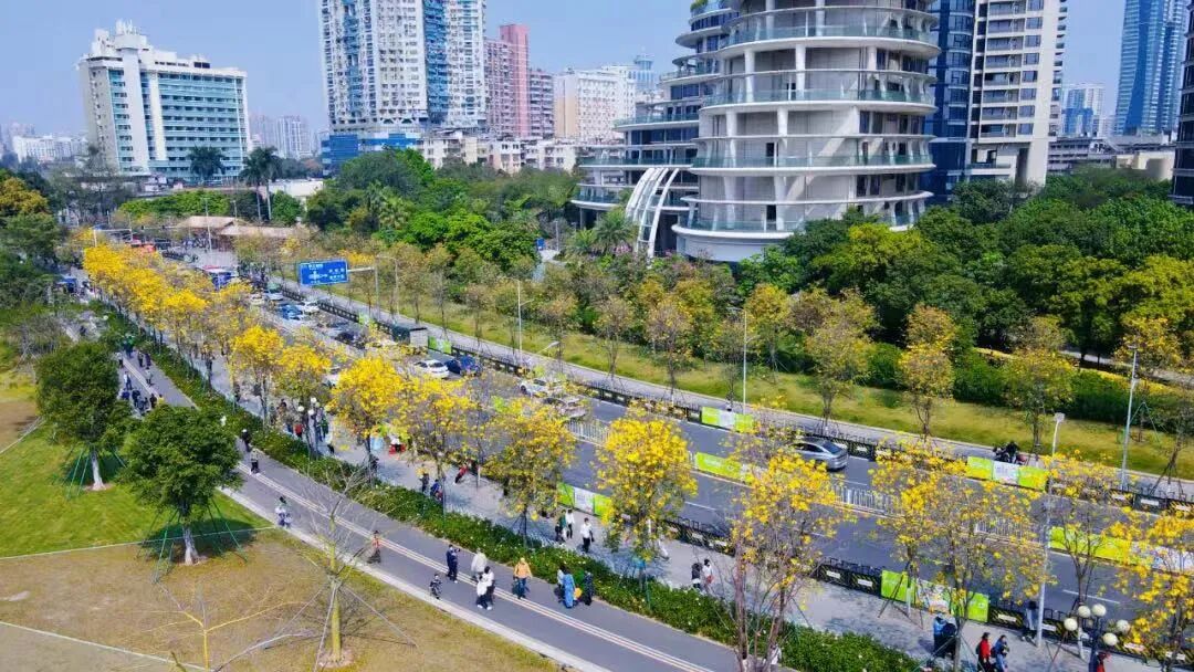 地段、景观、产品、天鹅壹号还缺什么？