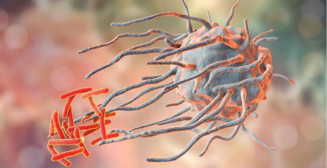 医用蓝光有什么作用【益·科普】红蓝光治疗仪的十大作用和五大功效_https://www.jmylbn.com_新闻资讯_第6张