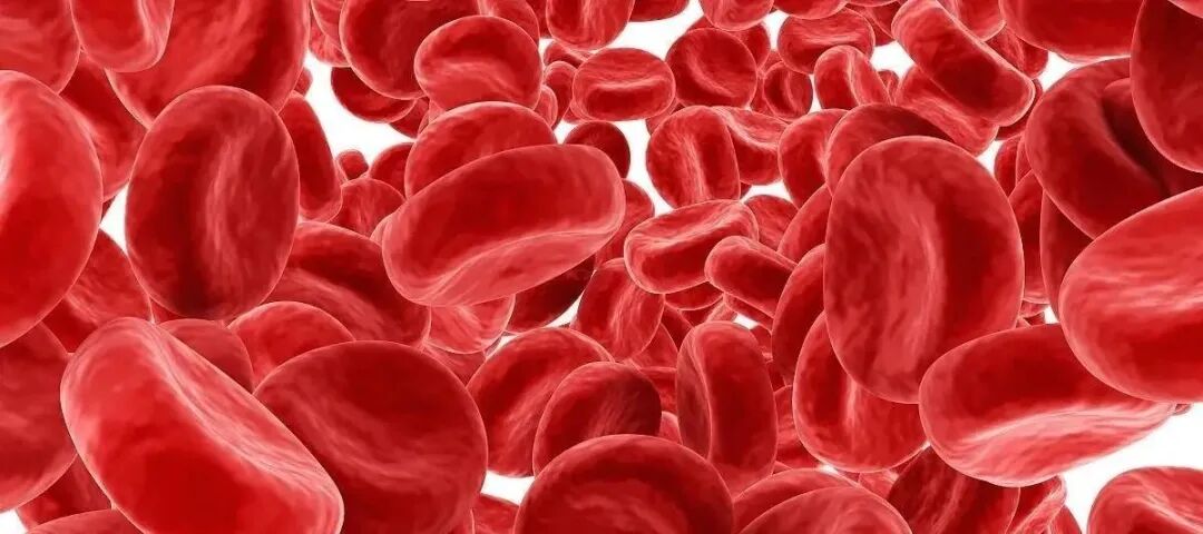 医用蓝光有什么作用【益·科普】红蓝光治疗仪的十大作用和五大功效_https://www.jmylbn.com_新闻资讯_第4张