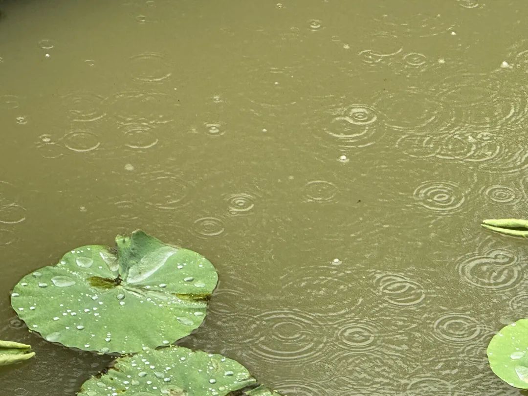 2025年06月08日绍兴天气,全面影响诸暨！预警连发！暴雨、雷暴大风，强对流马上杀到！