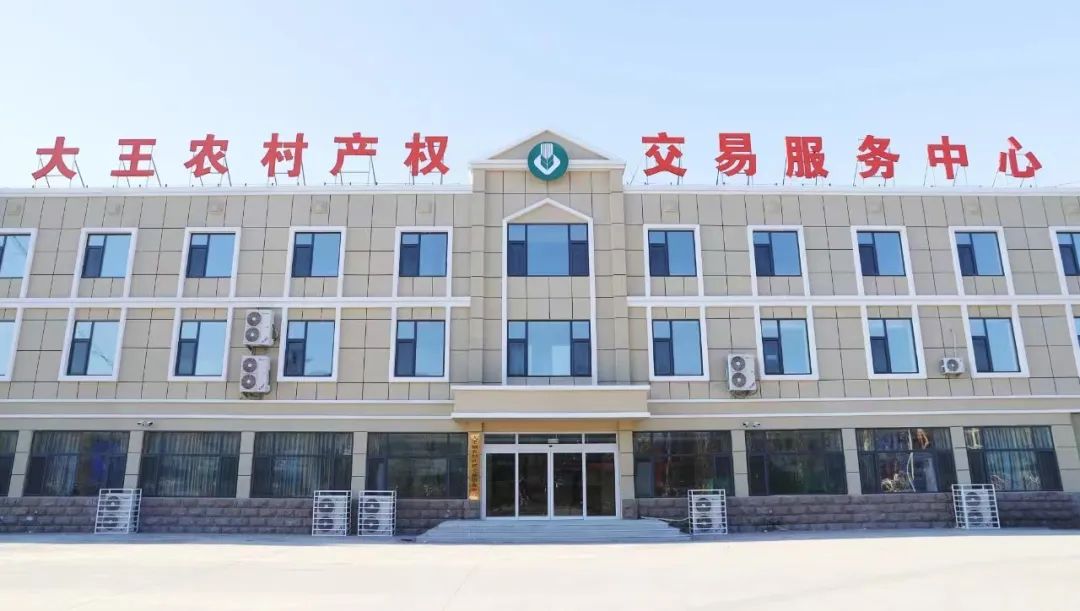 大王镇：秋韵会里话共富 绘就乡村新图景