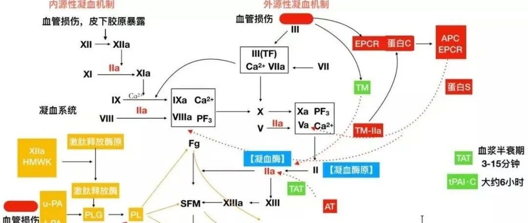cover_image