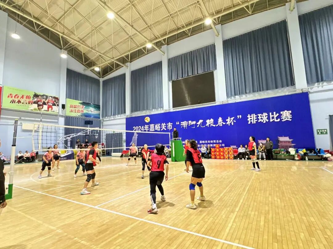 024年嘉峪关市排球比赛成绩出炉速来围观