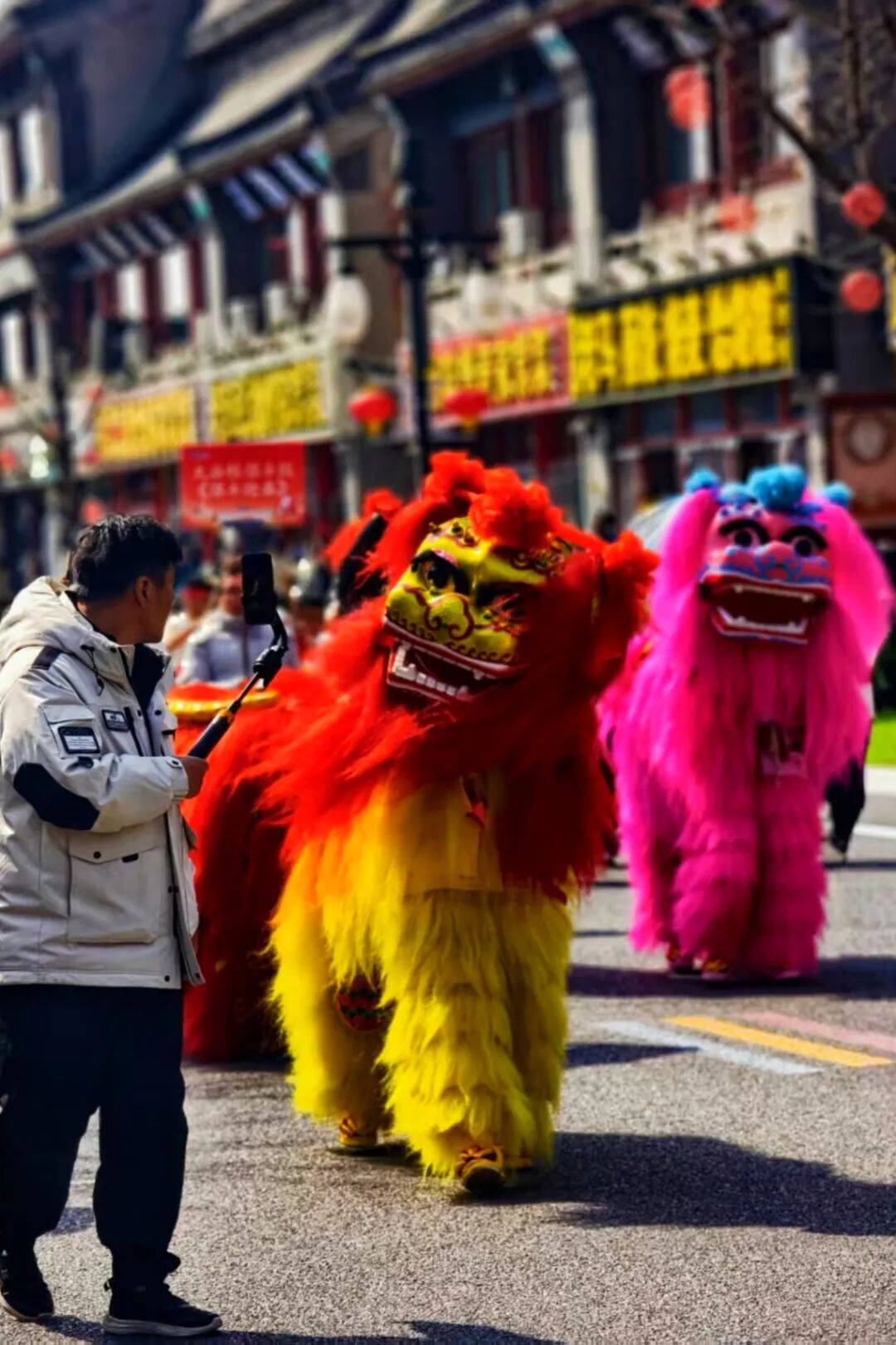 361 狮舞闹春 丁全义.jpg