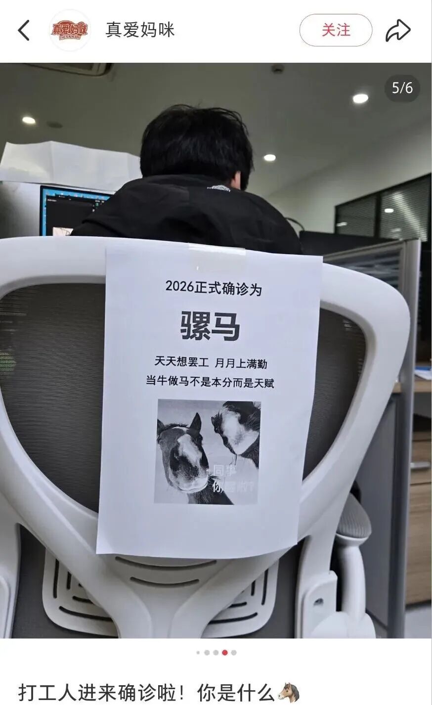 “正式确诊为一匹马”，新年打工人文案杀疯了！