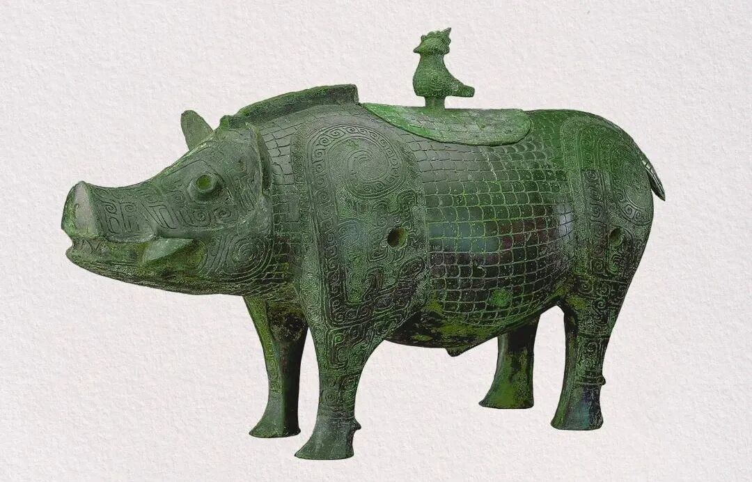 Boar on the Loose: Qingdao's Wild Warning - What You Need to Know - News Directory 3