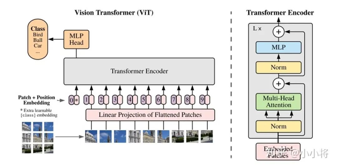Transformer在CV领域有可能替代CNN吗？