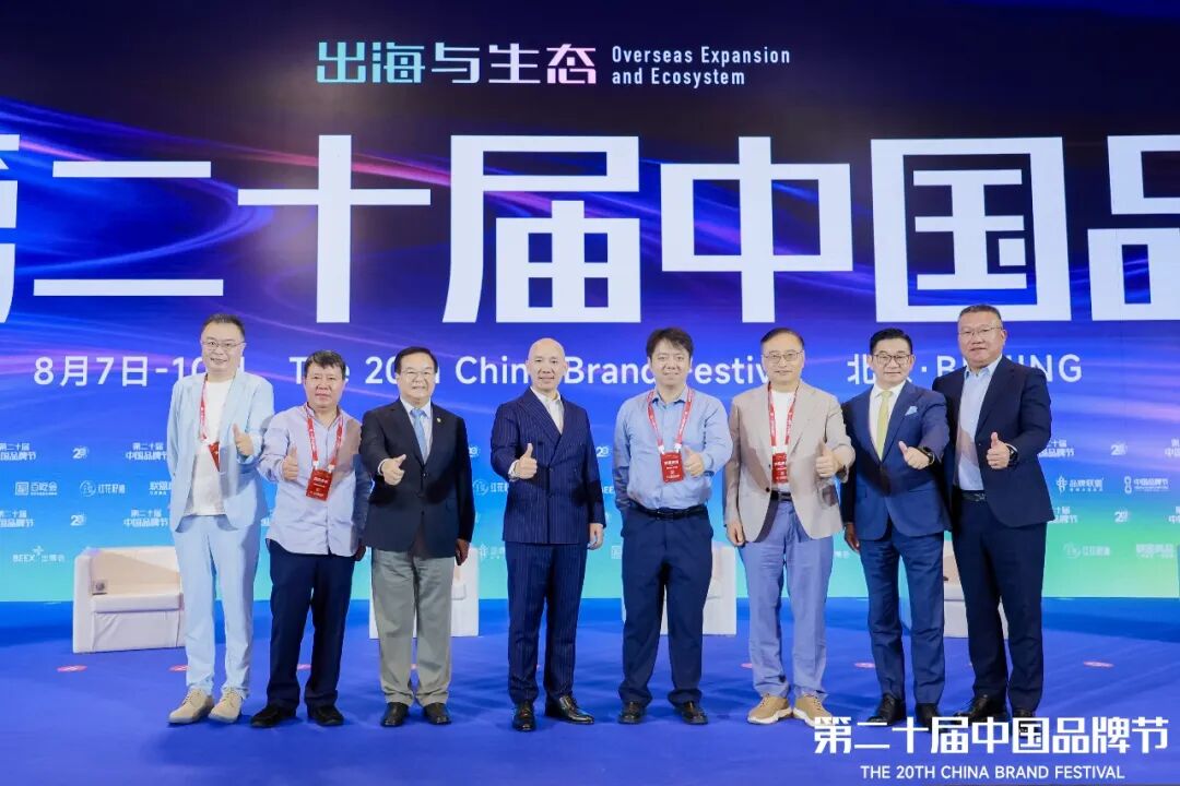 从“单打独斗”到“雁阵共赢”——玲珑轮胎解锁中国品牌生态出海新范式