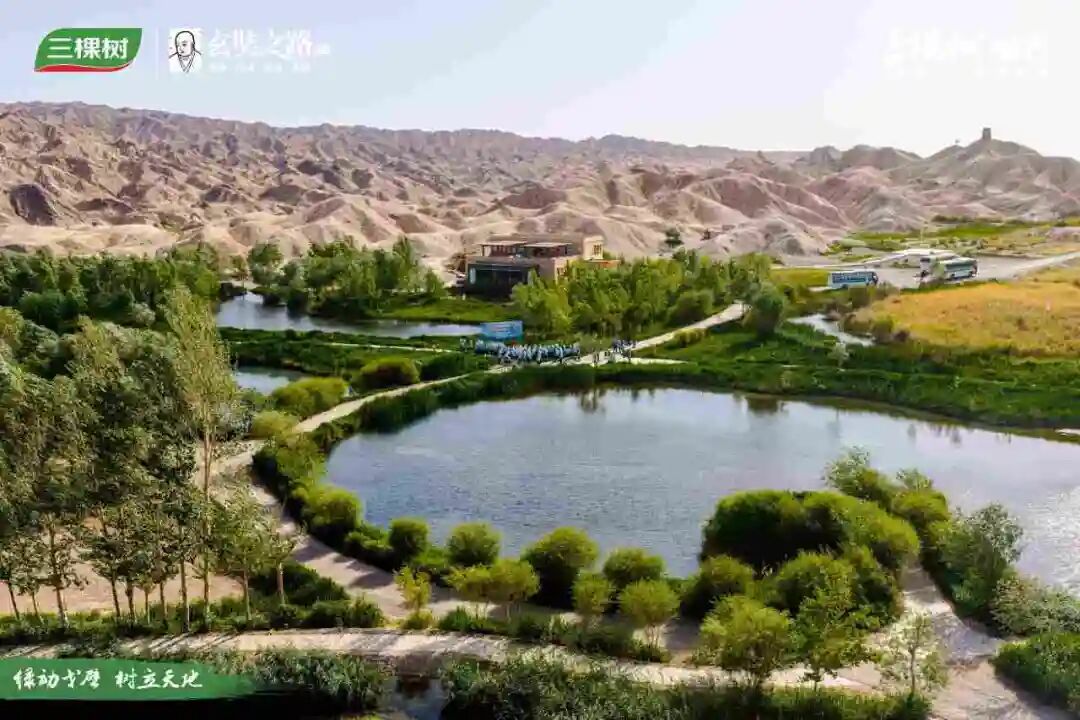 万众益心 千里植行丨2025三棵树戈壁清泉公益林捐赠仪式圆满举行 涂料在线,coatingol.com