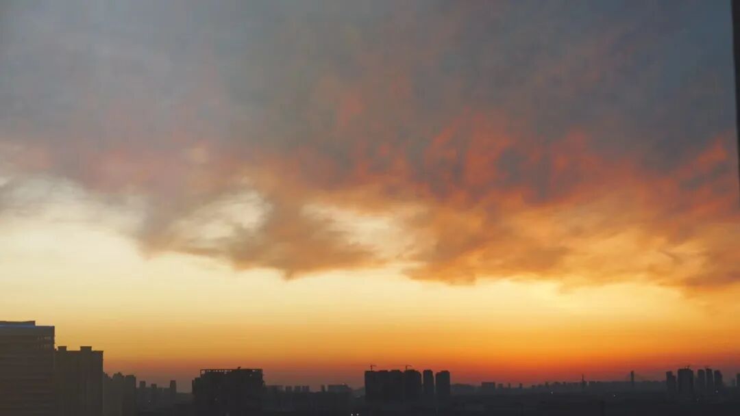 拍打问答：脱发、错构瘤、尿酸高、手汗症、头发出油、三叉神经痛