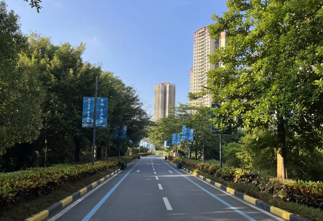 单价9字头，黄埔东金地半山风华加推9栋准现房！