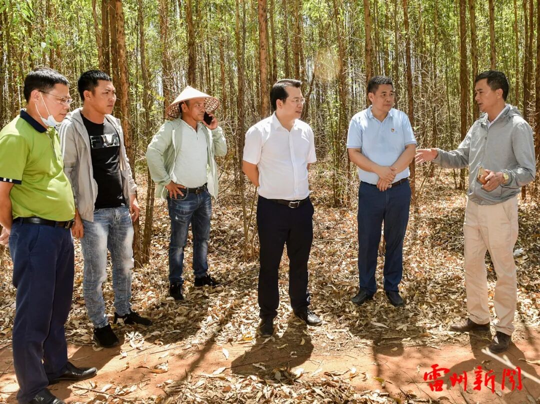 学校选址调研调研最后一站,胡小军一行到原雷州市职业高级中学迁建