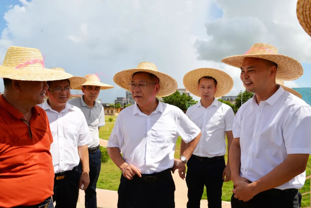 雷州市委书记吴松江到雷高镇扶柳村调研乡村振兴示范创建工作