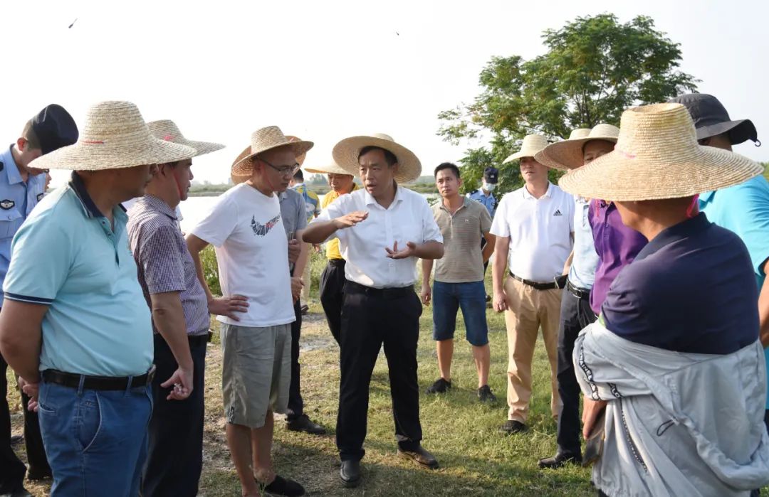 雷州市委书记张仁建调研督导中央生态环保督察交办案件调查和整改工作