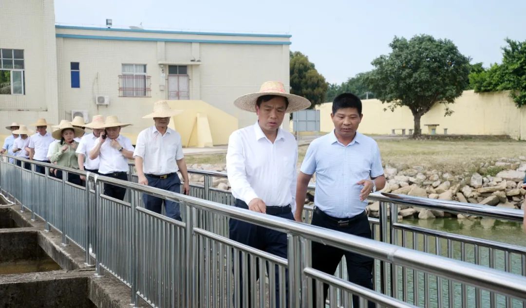 湛江张仁建图片