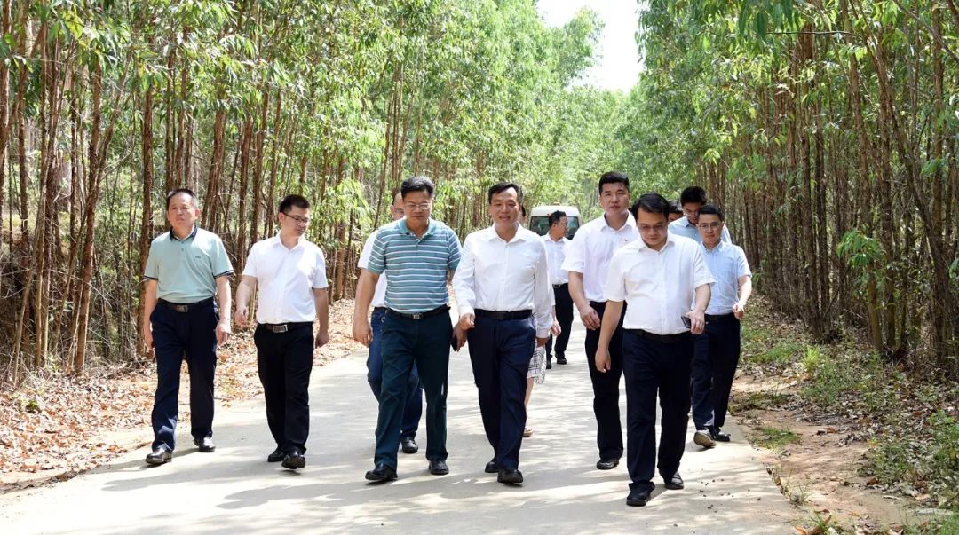 调研现场雷州市领导胡小军,何儒,文永健,陈武,陈丹踪,及市委办,市政府