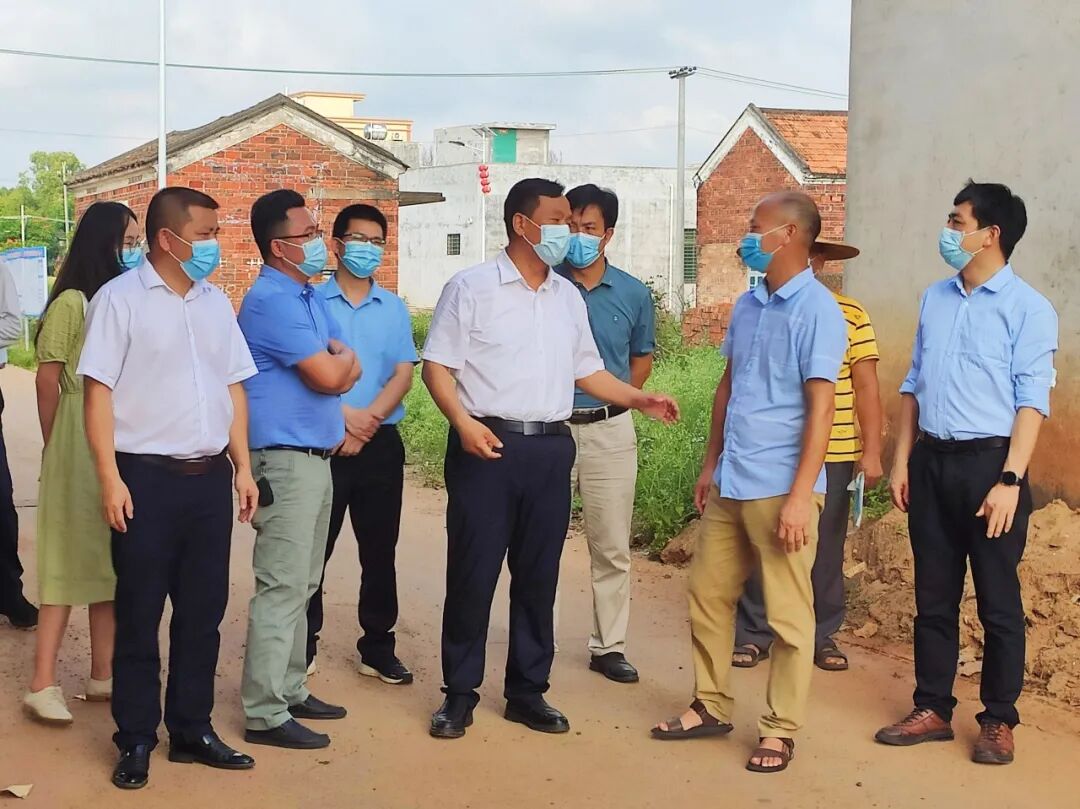 湛江市委常委雷州市委书记张仁建率队调研防汛应急农村人居环境整治等