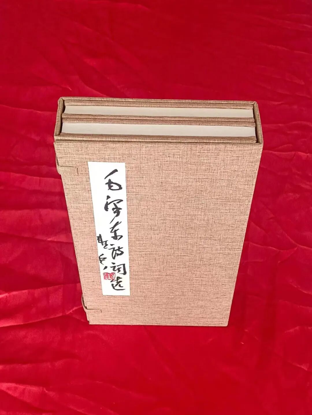班 兵 | 新加坡人文艺术线上交流展特邀艺术家（图5）