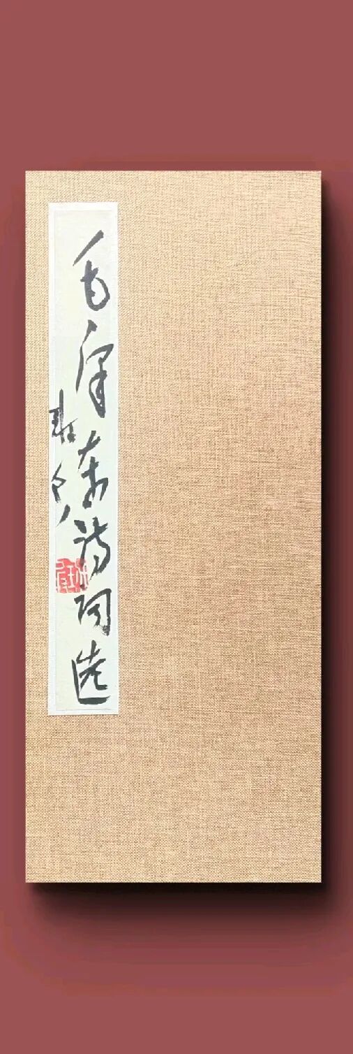 班 兵 | 新加坡人文艺术线上交流展特邀艺术家（图10）