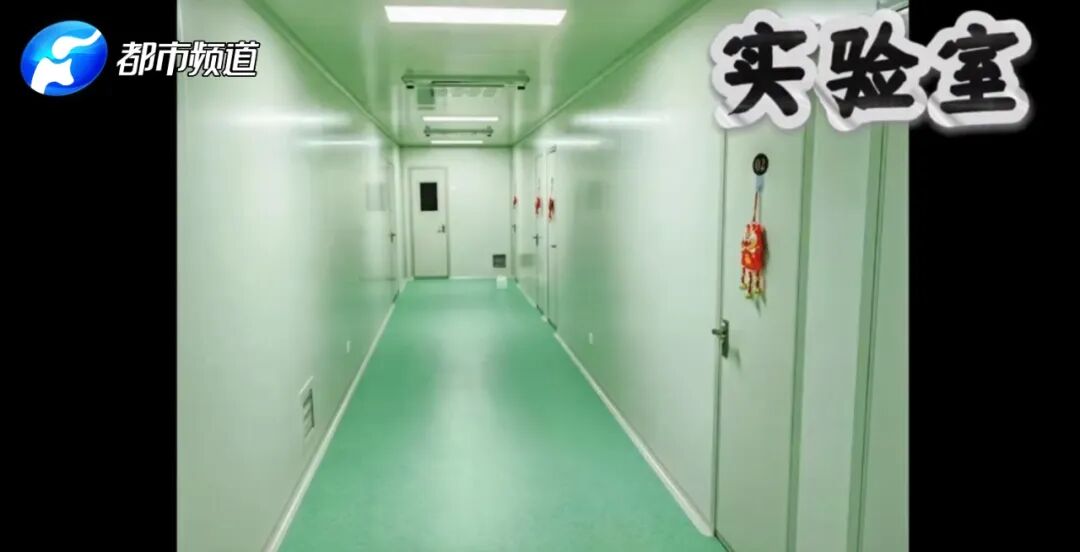 热搜爆了！75万代孕一个孩子？记者暗访揭露黑幕