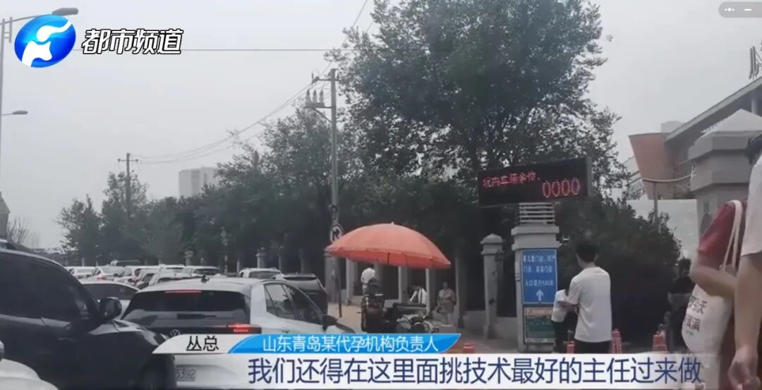 热搜爆了！75万代孕一个孩子？记者暗访揭露黑幕