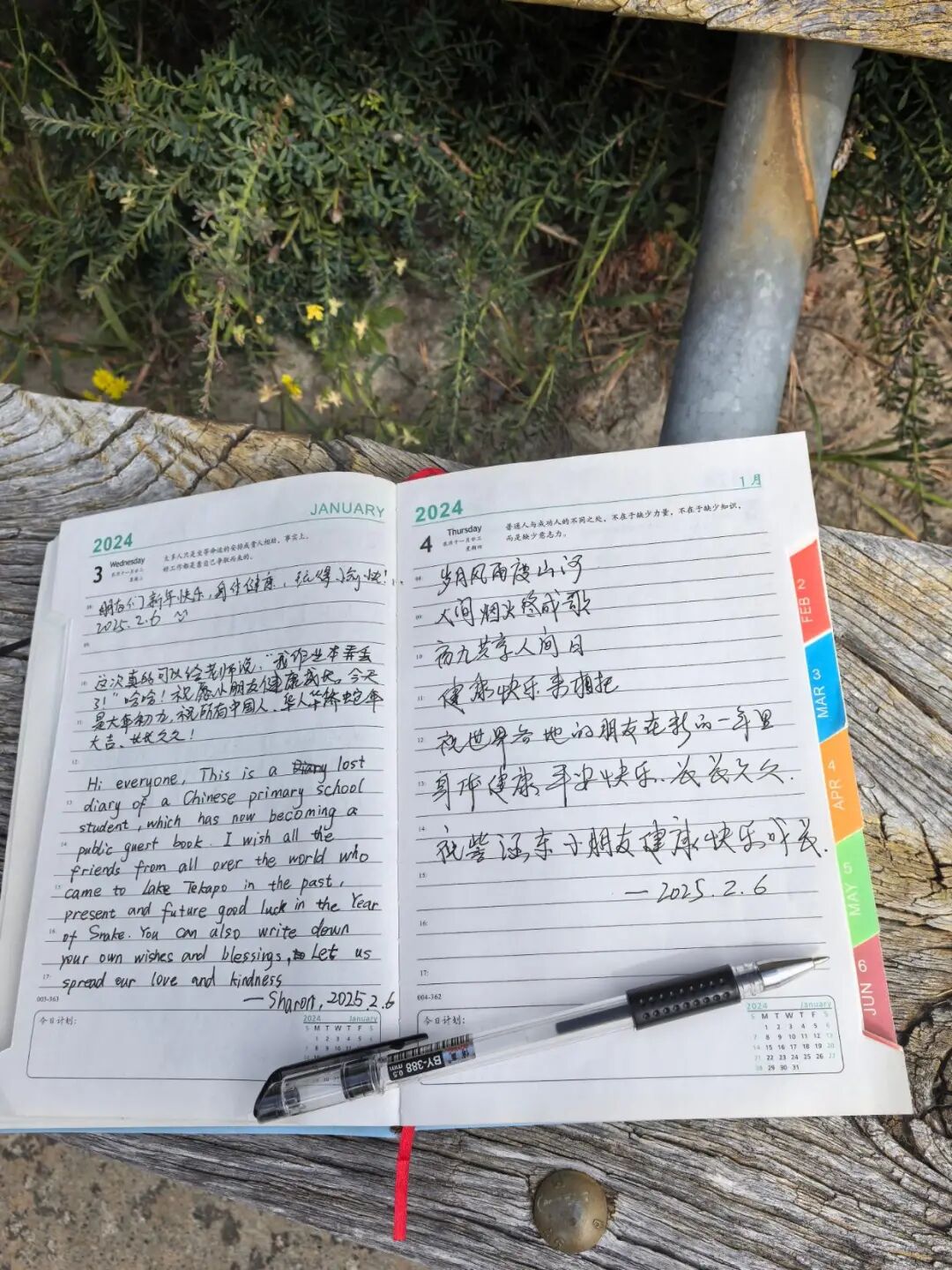 小朋友日记本落新西兰收获众多留言