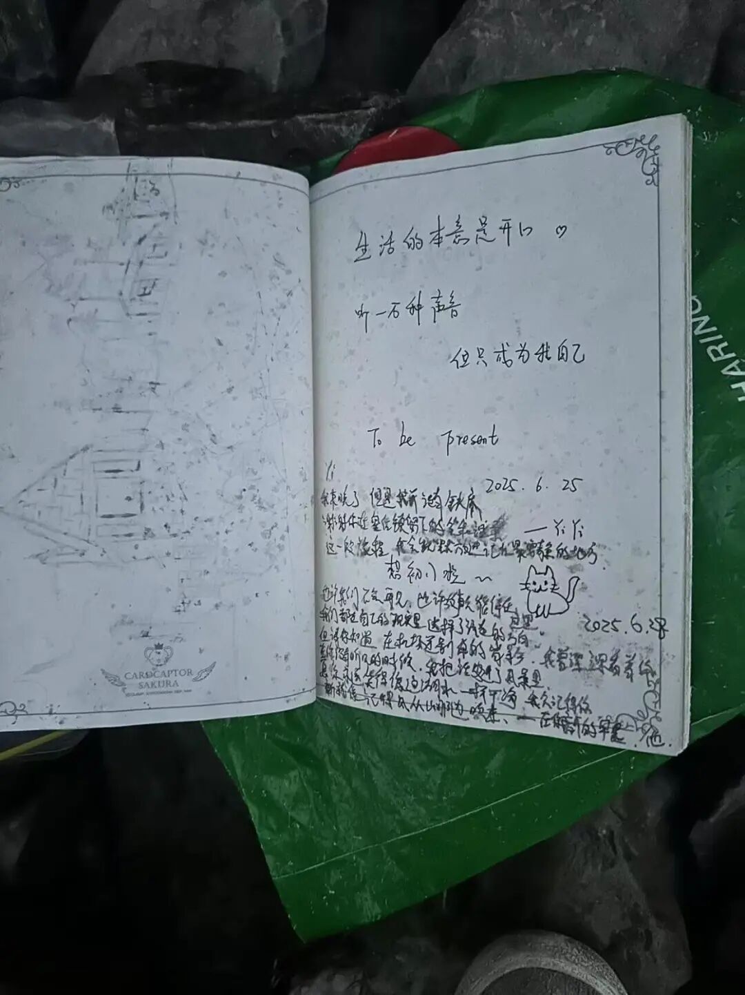 小朋友日记本落新西兰收获众多留言