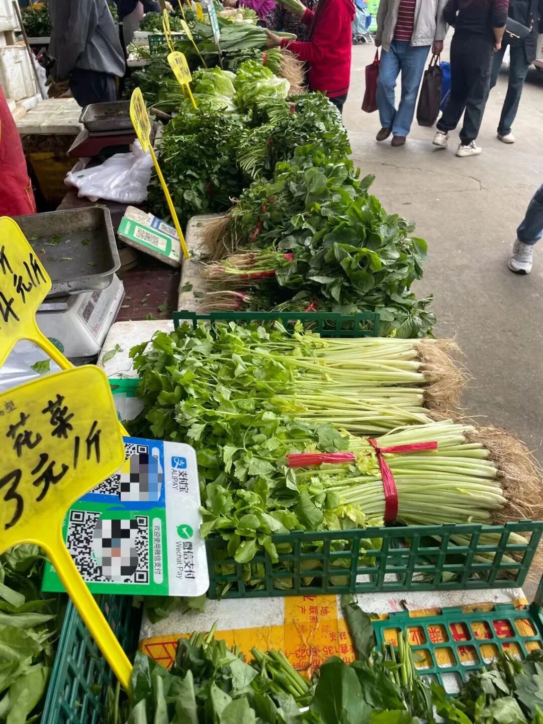 这里是广州市规模大,品种全的综合市场,内含上千个店铺,主要经营蔬菜