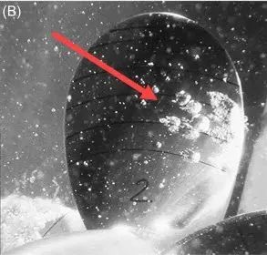 坏泡泡——螺旋桨梢涡空泡的数值模拟的图4