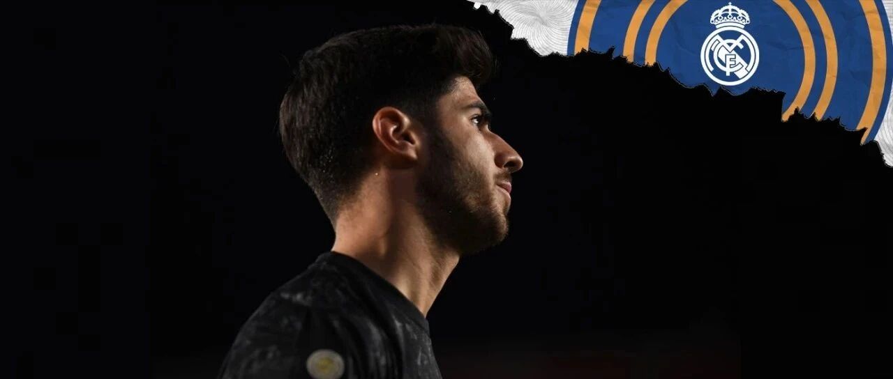 什么叫人类高质量复出