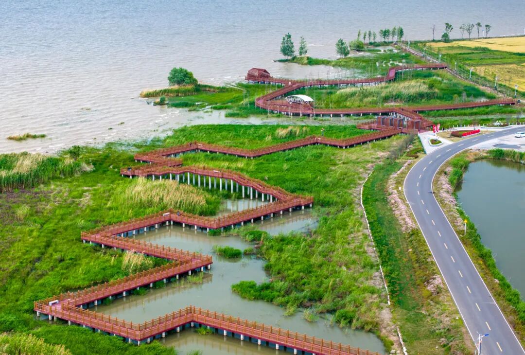 沙溪湖景栈道 大运河百里画廊盱眙段 石浩 摄.jpg