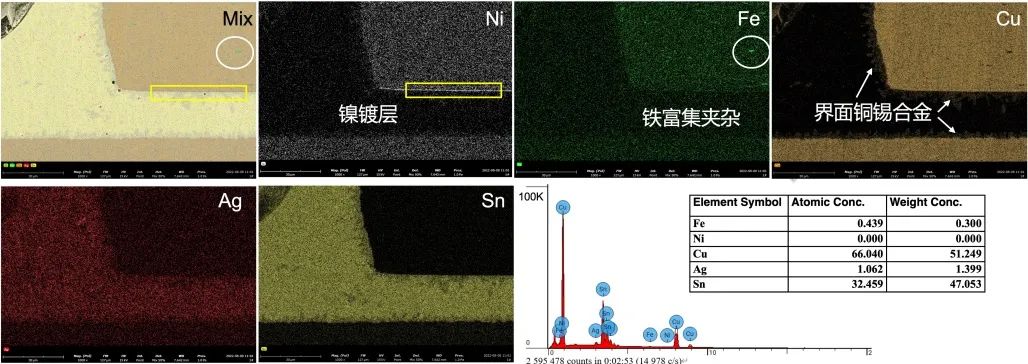 2025飛納電鏡選型指南--打造高效實(shí)驗(yàn)室，科研儀器投資物超所值的寶典！