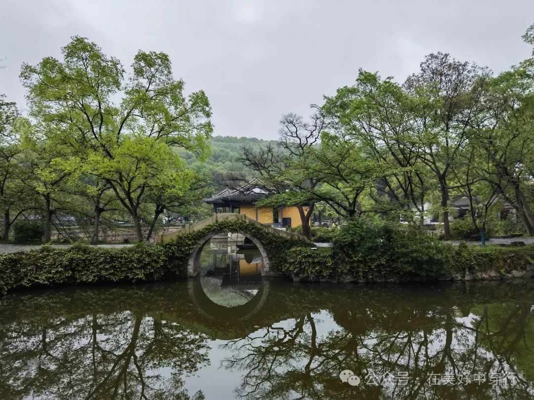 鼋头渚客渡船多少钱