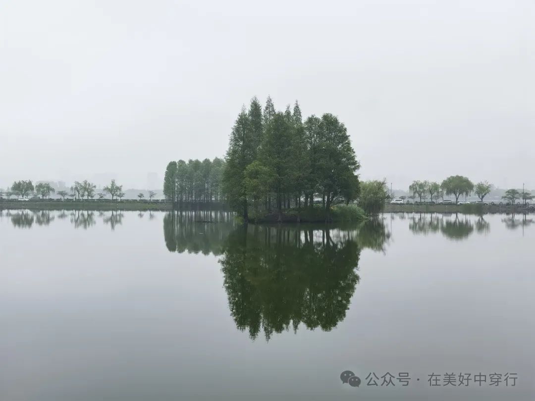 鼋头渚客渡船多少钱