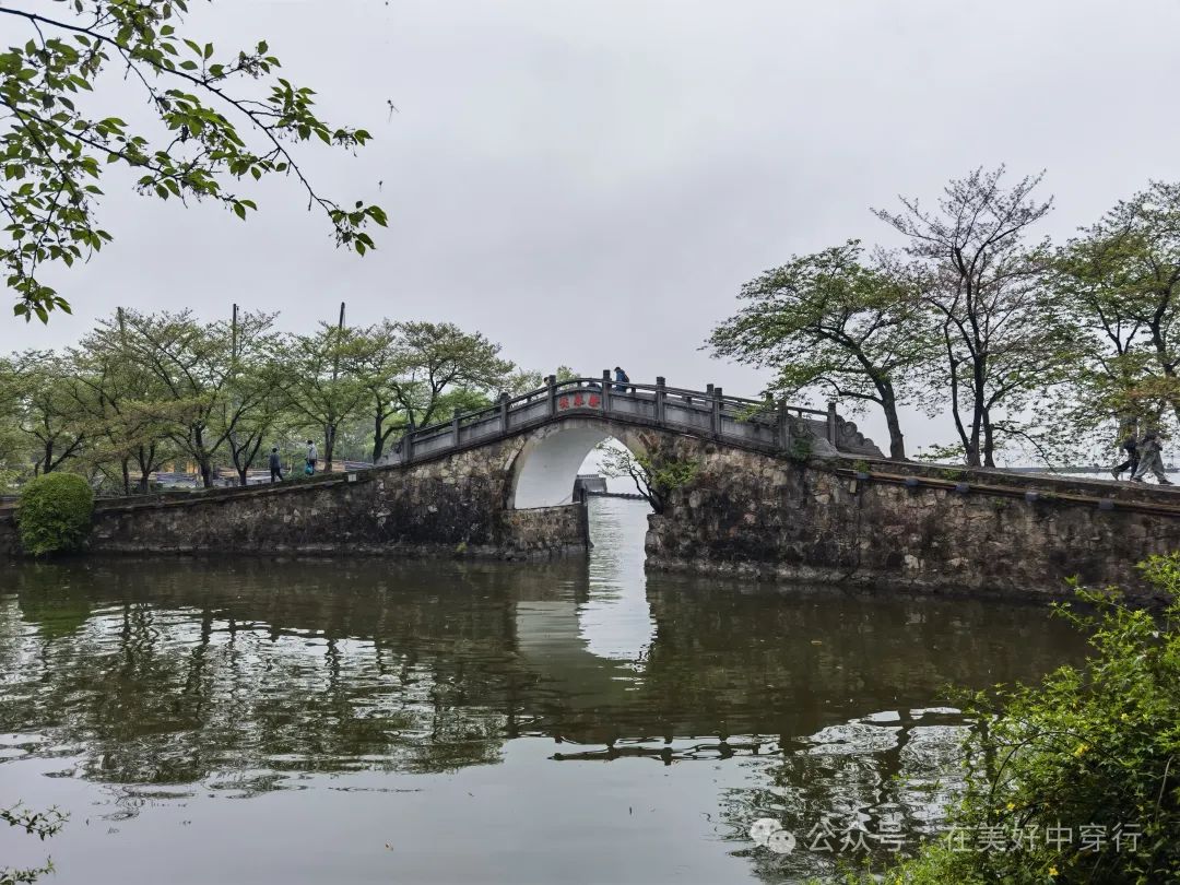 鼋头渚客渡船多少钱