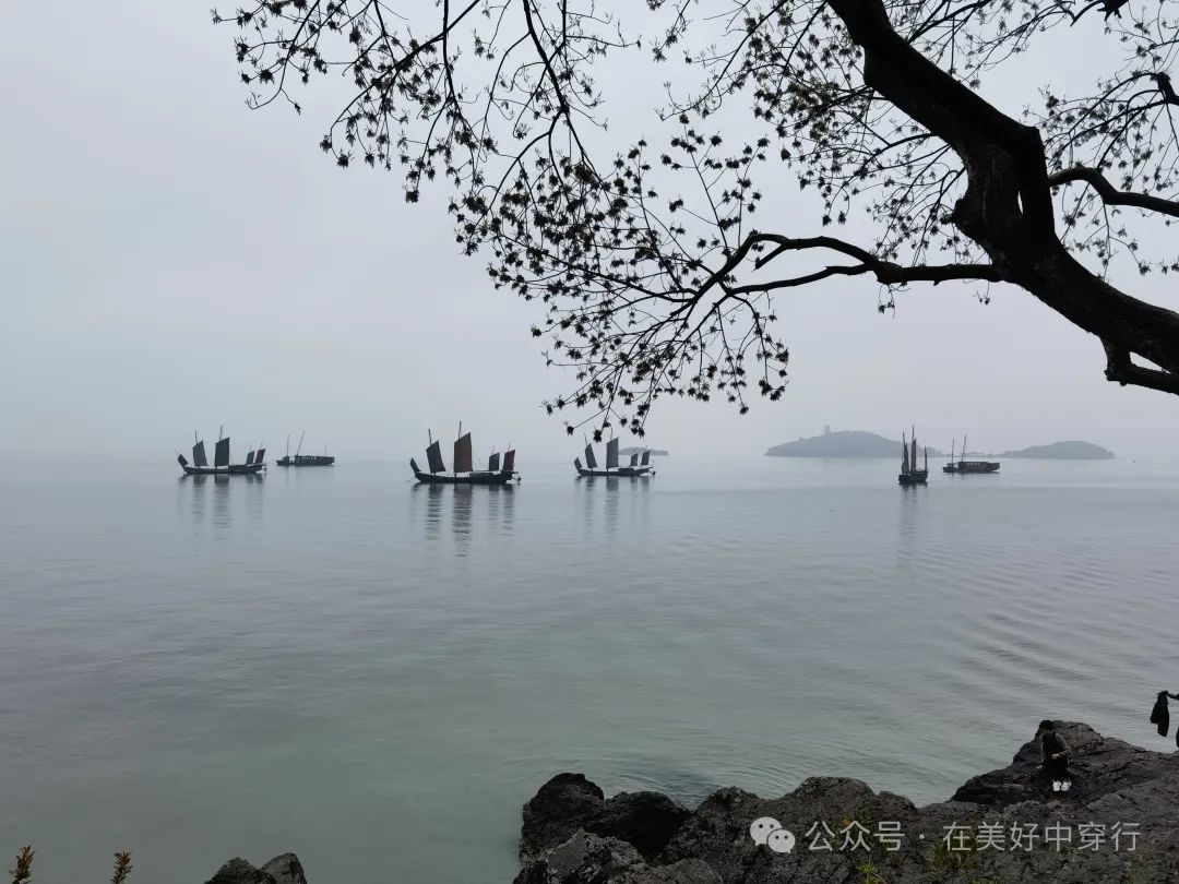 鼋头渚客渡船多少钱