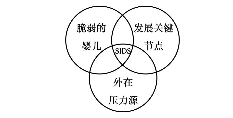 女嬰因「趴睡訓練」憋死，誰是這場「殺人直播」的始作俑者？ 親子 第10張