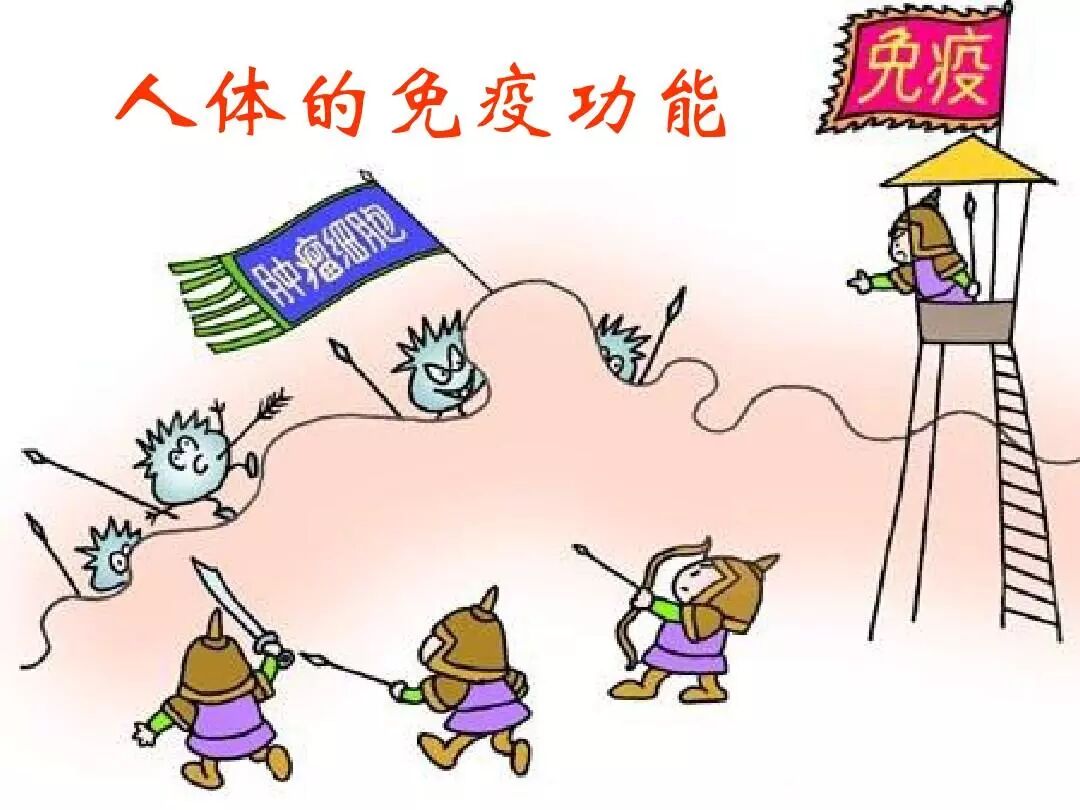 简单的来说,免疫功能是免疫系统为身体提供的抵御各种病原性和微生物