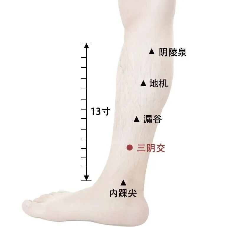 “回阳九针穴”——针灸回阳救逆，起死回生，挽救生命之宝穴！-搜博