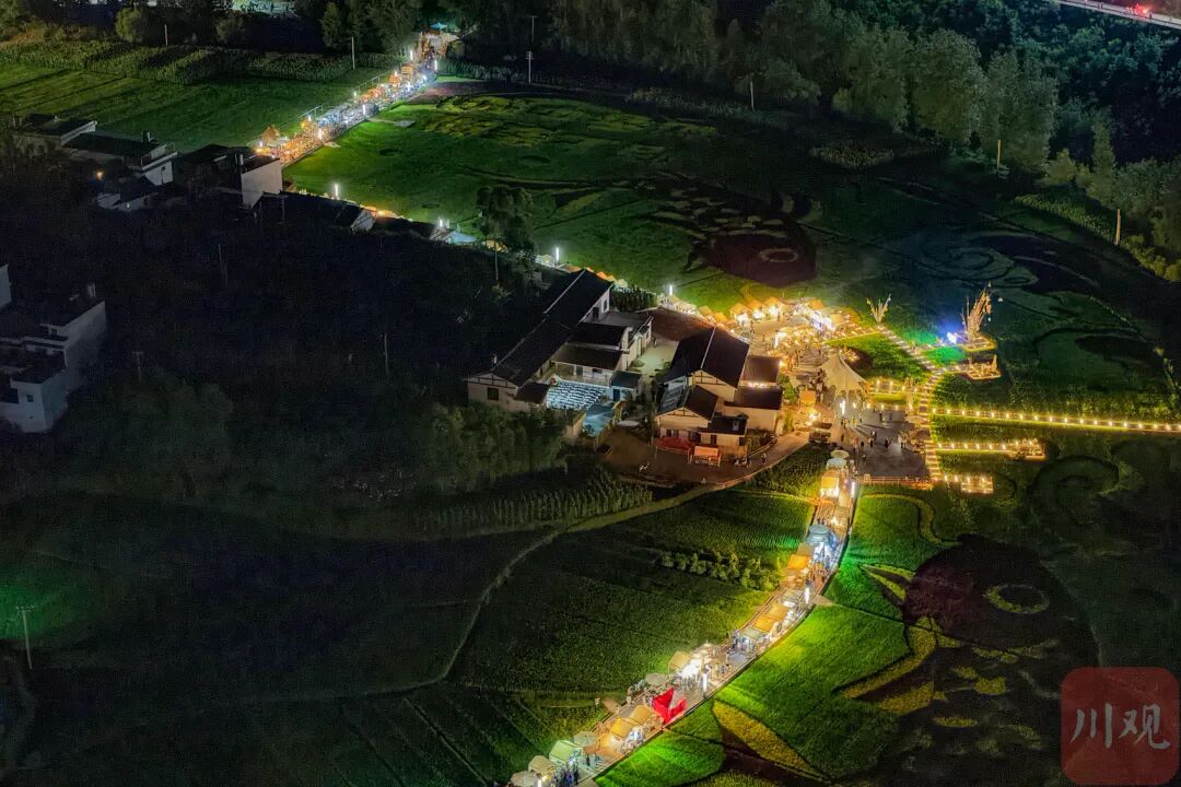 会东姜州镇陌上姜州：驱车2小时，解锁田园撒欢与摩登集市的诗意秘境插图2