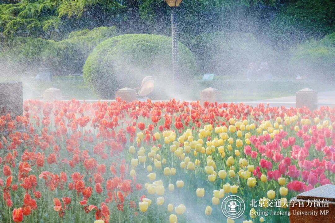 微信图片_20260423215039_191_1.jpg